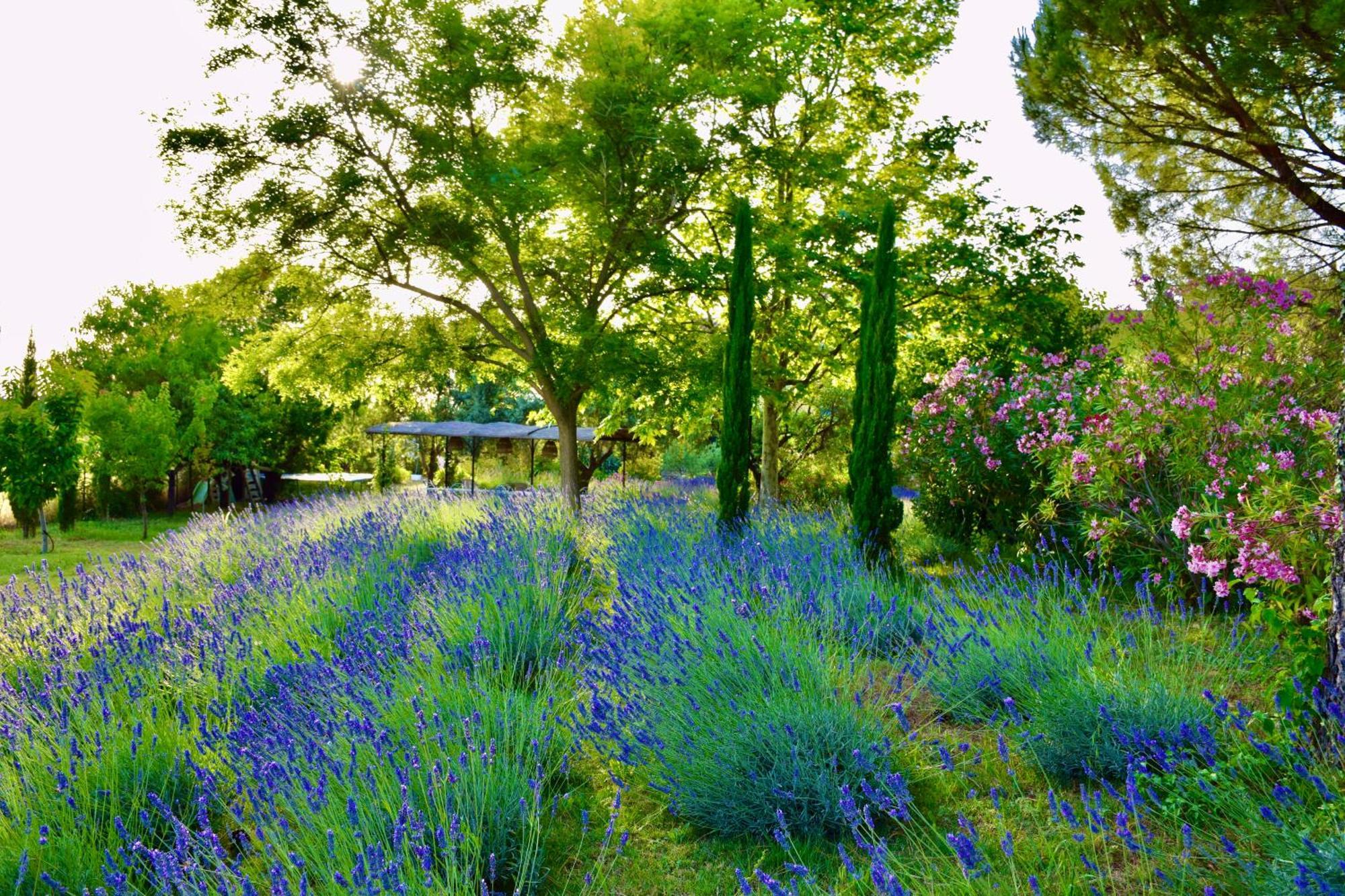 Bastide Saint-Didier Saint Didier  Bagian luar foto