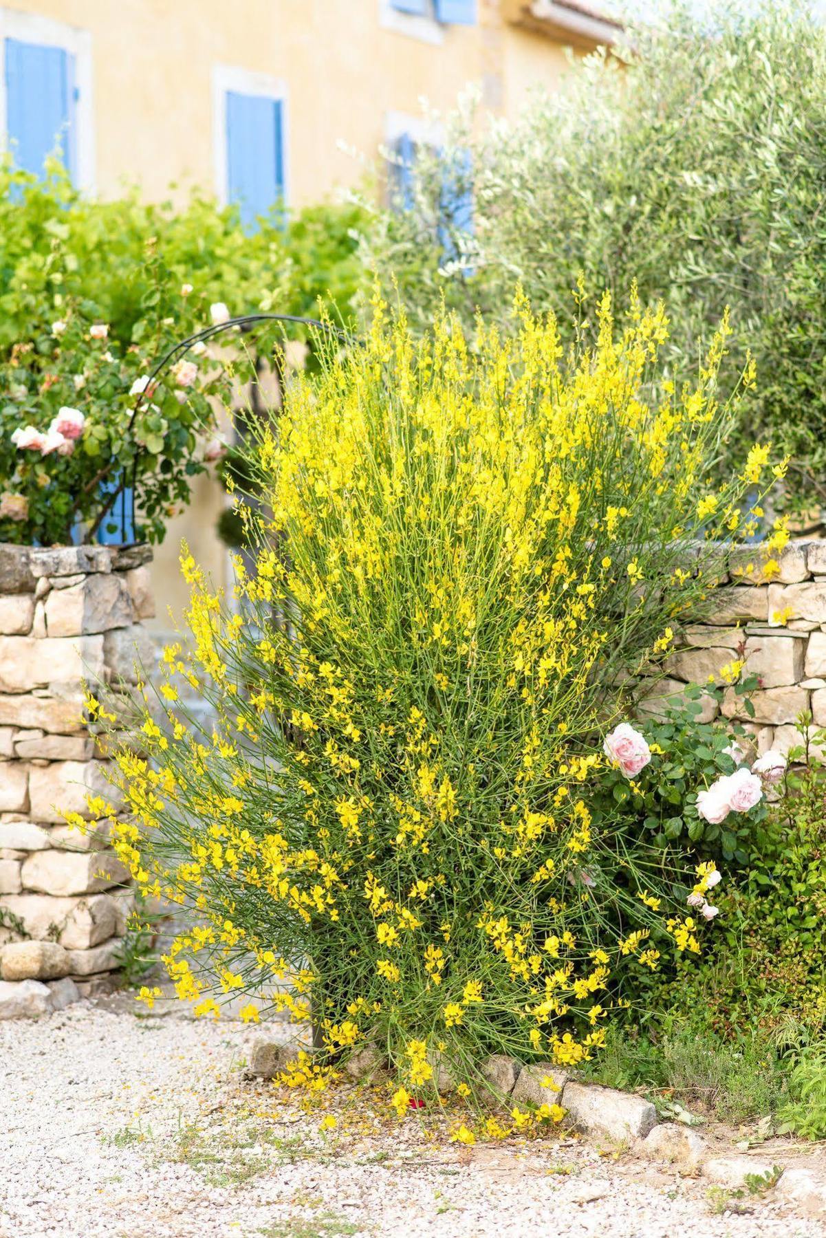 Bastide Saint-Didier Saint Didier  Bagian luar foto